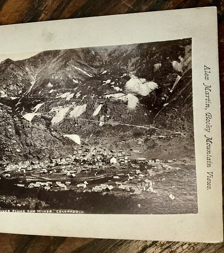 Cabinet Card Birdseye View Silver Plume & mines Alex Martin Georgetown Colorado - Picture 3 of 10