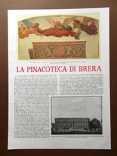La Pinacoteca di Brera Palazzo Luini Santa Caterina Pitture Venete del 1914
