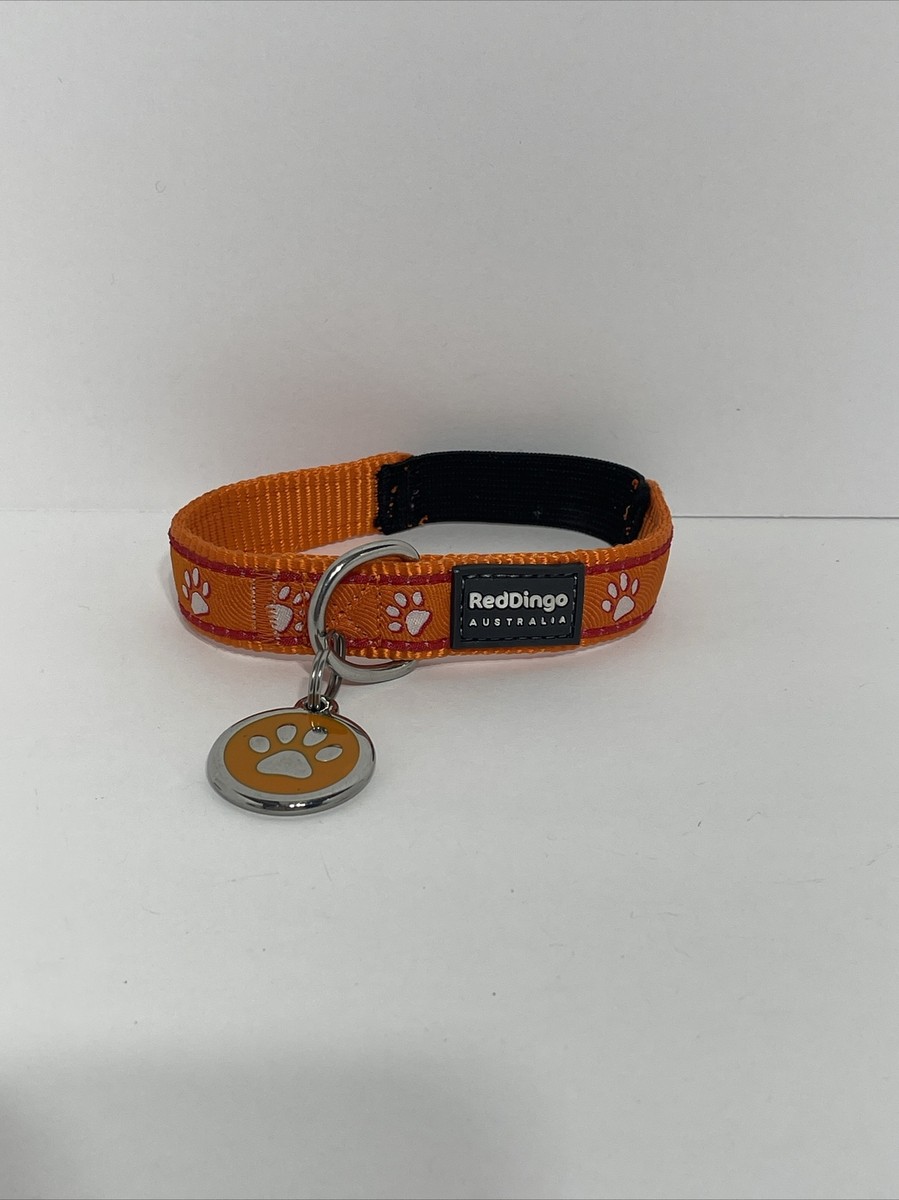 RedDingo Australia Orange Dog Collar And Tag - Main Image