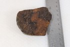 Estate Plume Moss Agate lapidary 3.8 oz. windowed rough — photo 9