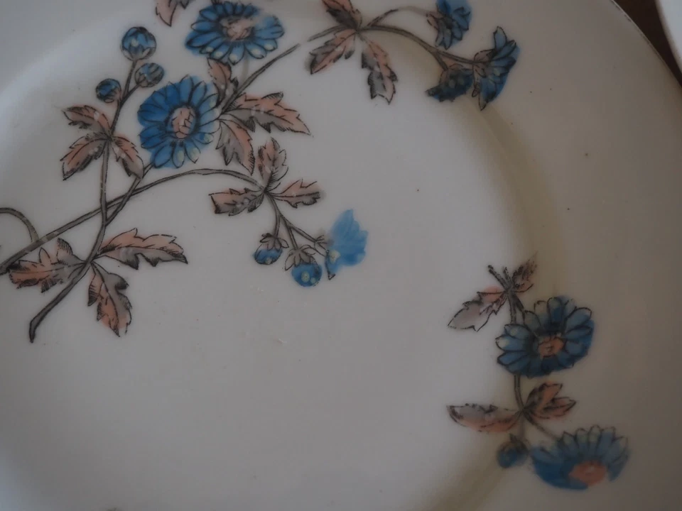 6 ANCIENNES ASSIETTES A DESSERT PORCELAINE DLG LIMOGES. DECOR FLORAL .DIAM 21 CM - Photo 3/4