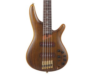 Ibanez Sdgr 5 String Bass Guitar | eBay