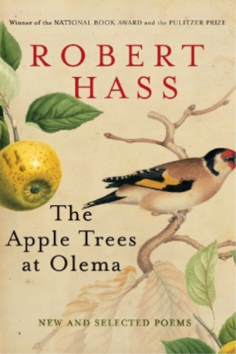 Robert Hass The Apple Trees at Olema (Paperback) (UK IMPORT) - Picture 1 of 1