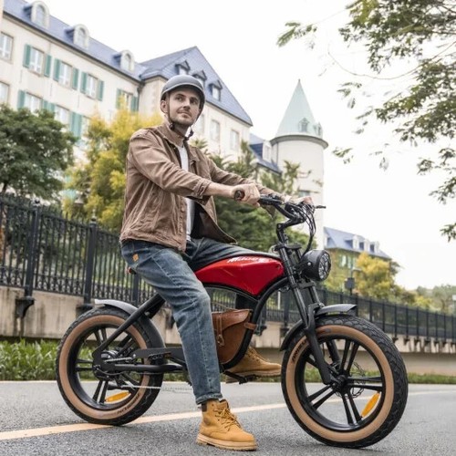 Hidoes B10 20" Fat Tire Mountain Electric Bike 48V 13Ah Rapid E-Bike E-MTB 7S UK - Picture 7 of 24
