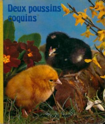Deux poussins coquin - Inconnu - V429525