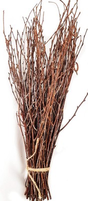50 pcs Birch Branches for Vases Decoration for Sale. Natural Birch Twigs for ...