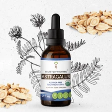 Secrets Of The Tribe Astragalus Tincture Alcohol-FREE