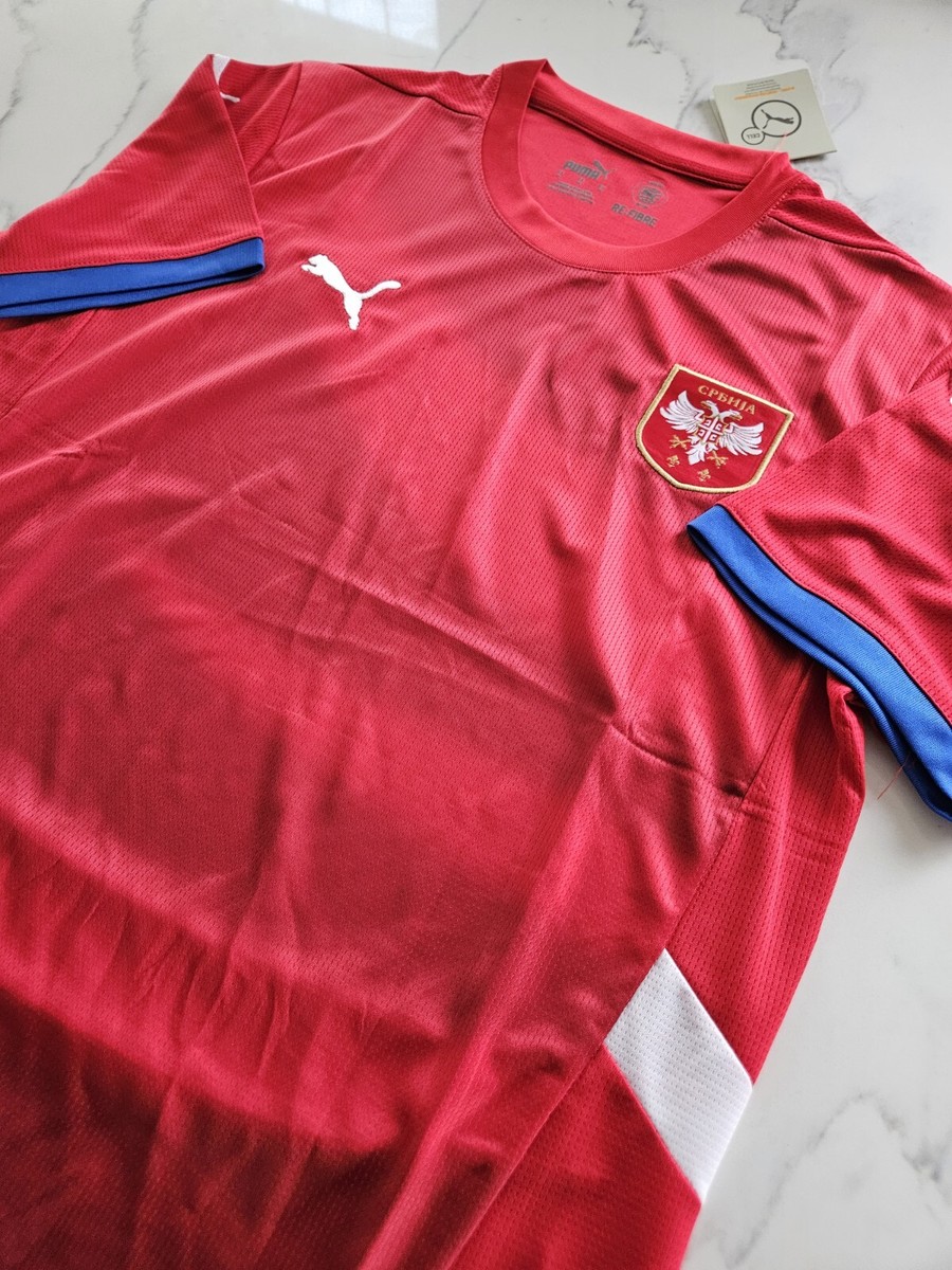 Puma 2024-25 Dark Cherry-PUMA Team Royal Serbia National Team Mens