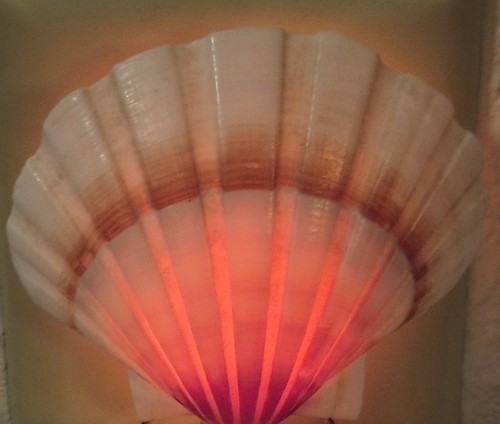 Vintage Seashell Night Light Natural Color Scallop Shell Beach Decor 2.75"
