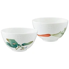 Noritake Pair of 345cc Kyoka Shunsai Rice Bowls Microwave and Dishwasher Safe