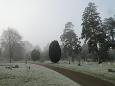 Foto 6x4 Cementerio de Colchester en una mañana helada y brumosa Hay 267 C c2017