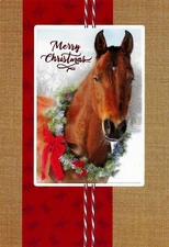 HORSE LOVERS! BEAUTIFUL RELIGIOUS INSPIRATIONAL CHRISTMAS CARD by DAYSPRING (8)