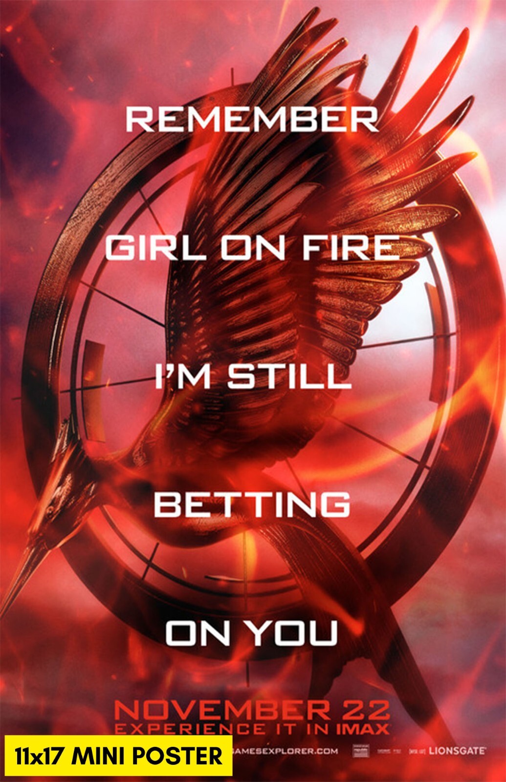 The Hunger Games: Catching Fire (2013) Movie Poster 11x17 | eBay