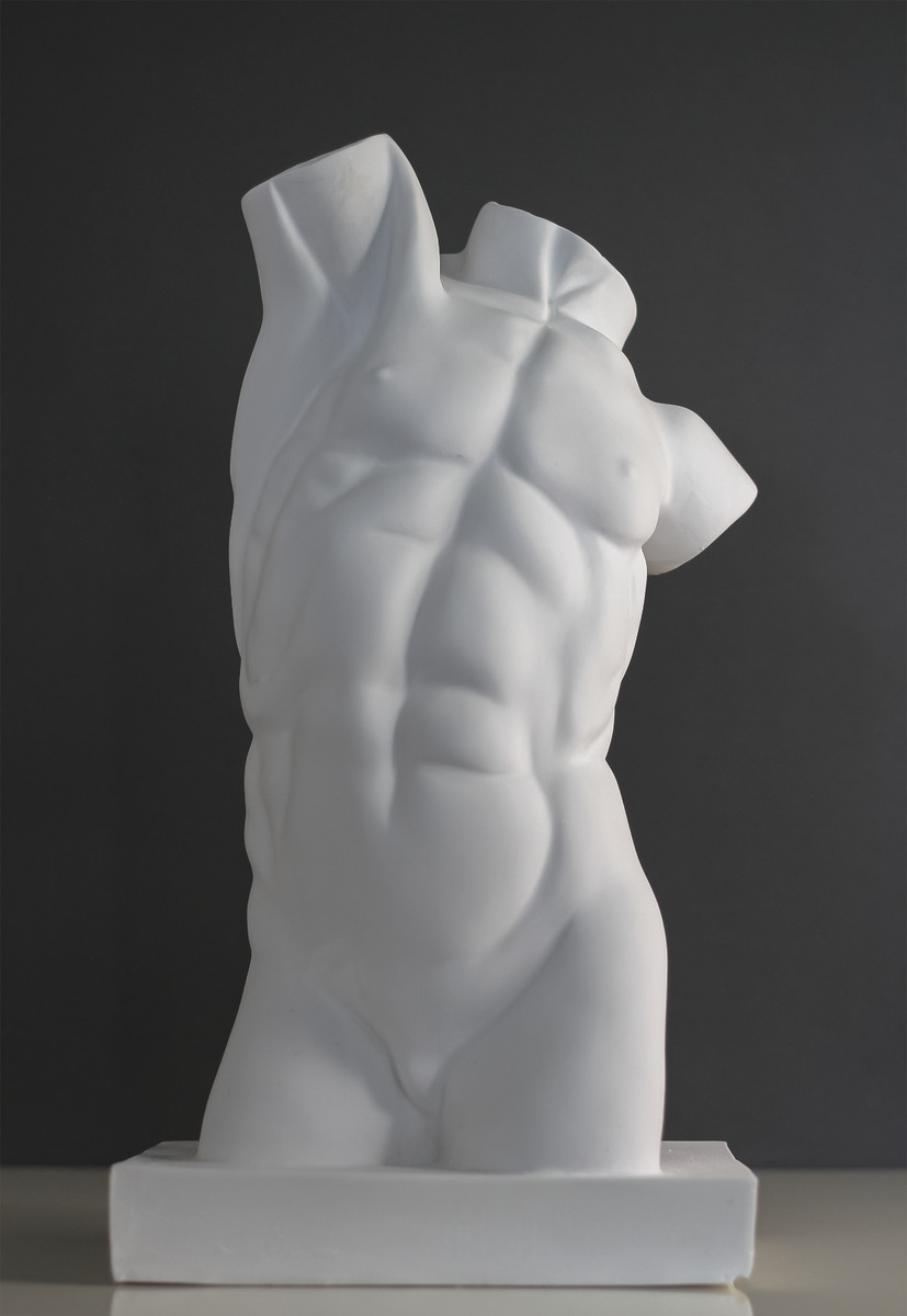 Male torso