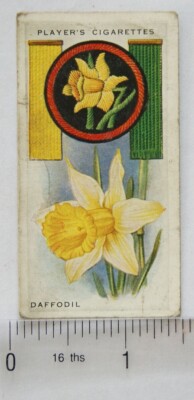 1933 Player's Boy Scout & Girl Guide Patrol Signs & Embleme No. 31 Narzissen