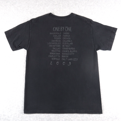 Vintage Foo Fighters T Shirt M Medium One By One Tour 2003 Roswell