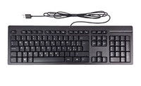 Hp Wired Desktop 125 Tastatur Keyboard, Qwertz Polnisch, Schwarz, Kabelgebunden