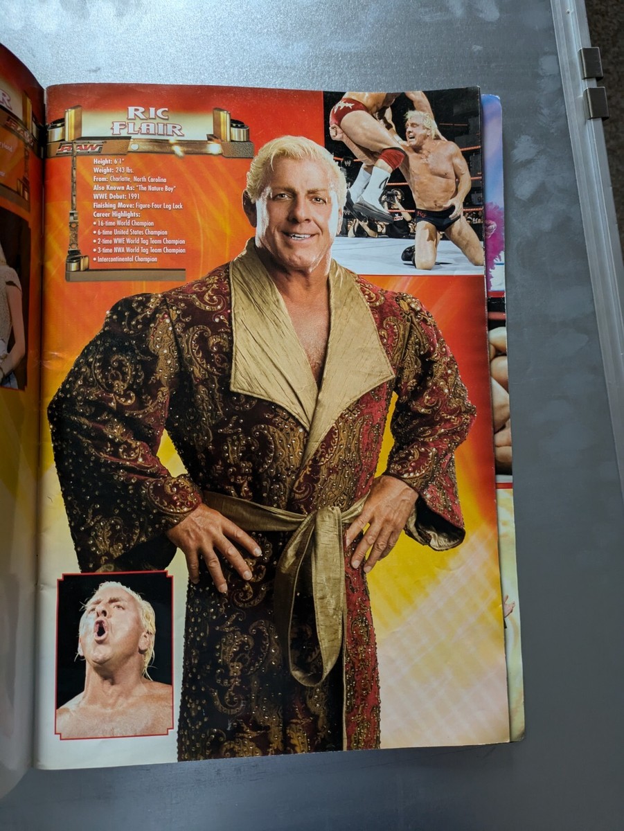 Nintendo Wii - WWE SmackDown Vs Raw 2008 - Bon État