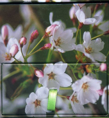 Memo Block Cherry Blossom by Peony Press (2016, Merchandise, Other)