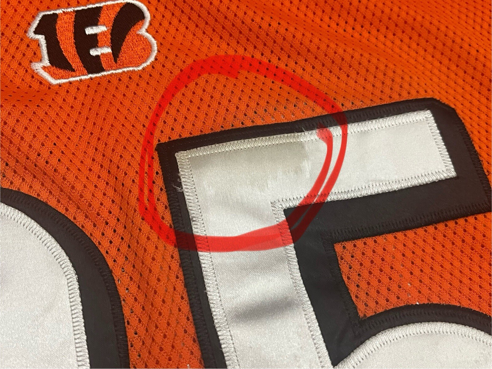 Picture 4 of 13