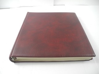 GERMANY 1949 1969 an empty Lindner Hingeless album good condition