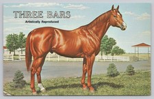 Postcard Three Bars Artist Rendition Darol Dickinson Horse
