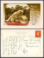 Cat Kitten, Fishbowl Fish Bowl, Have a Jolly Birthday 1938 Old Embossed Postcard