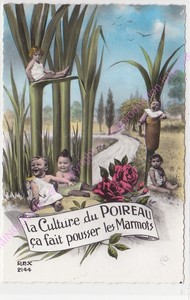 Cpsm Humor La Culture Of The Poireau It Made Push All Marmots Edt Lyna Ebay