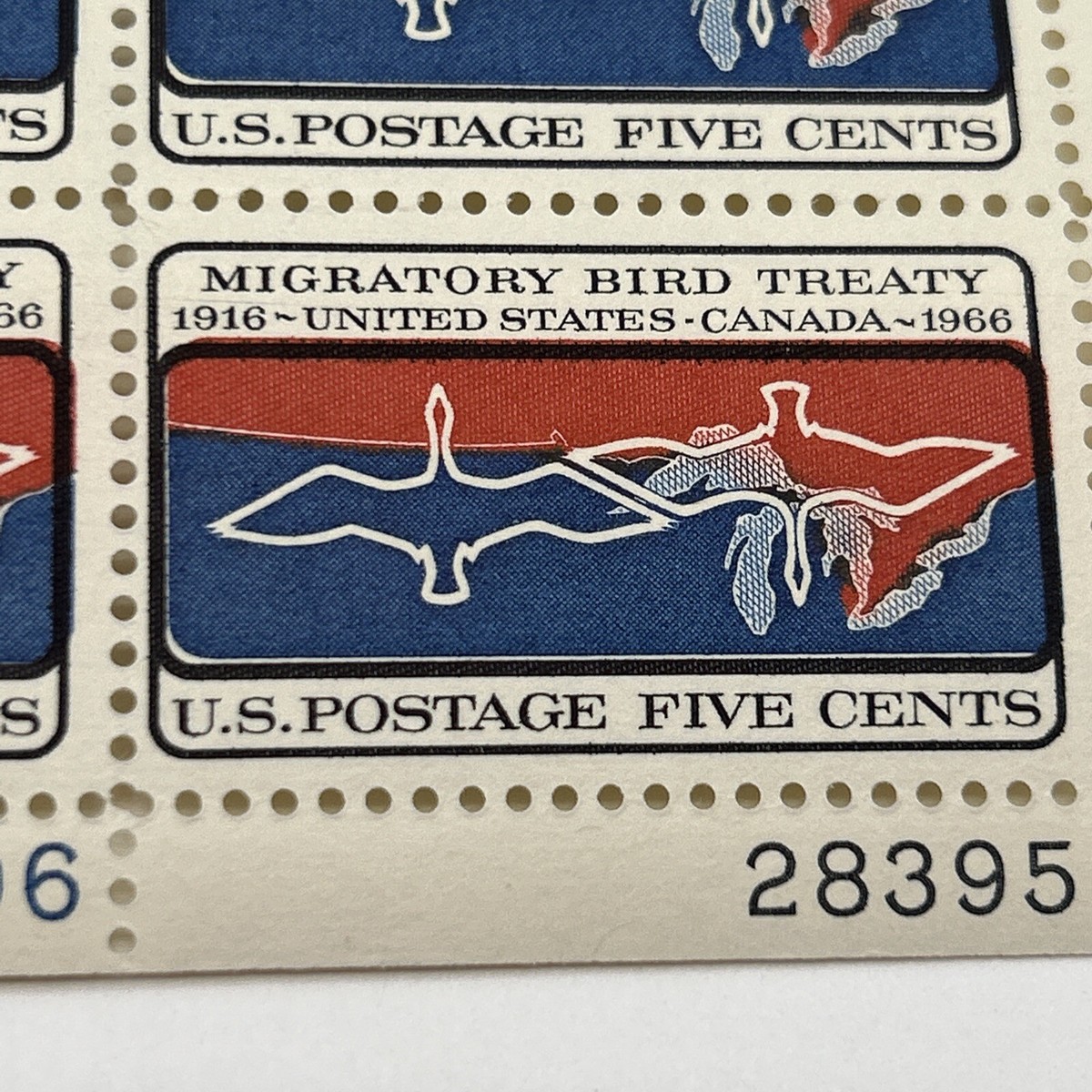 Migratory Bird Treaty: Essential Facts Every Bird Lover Should Know