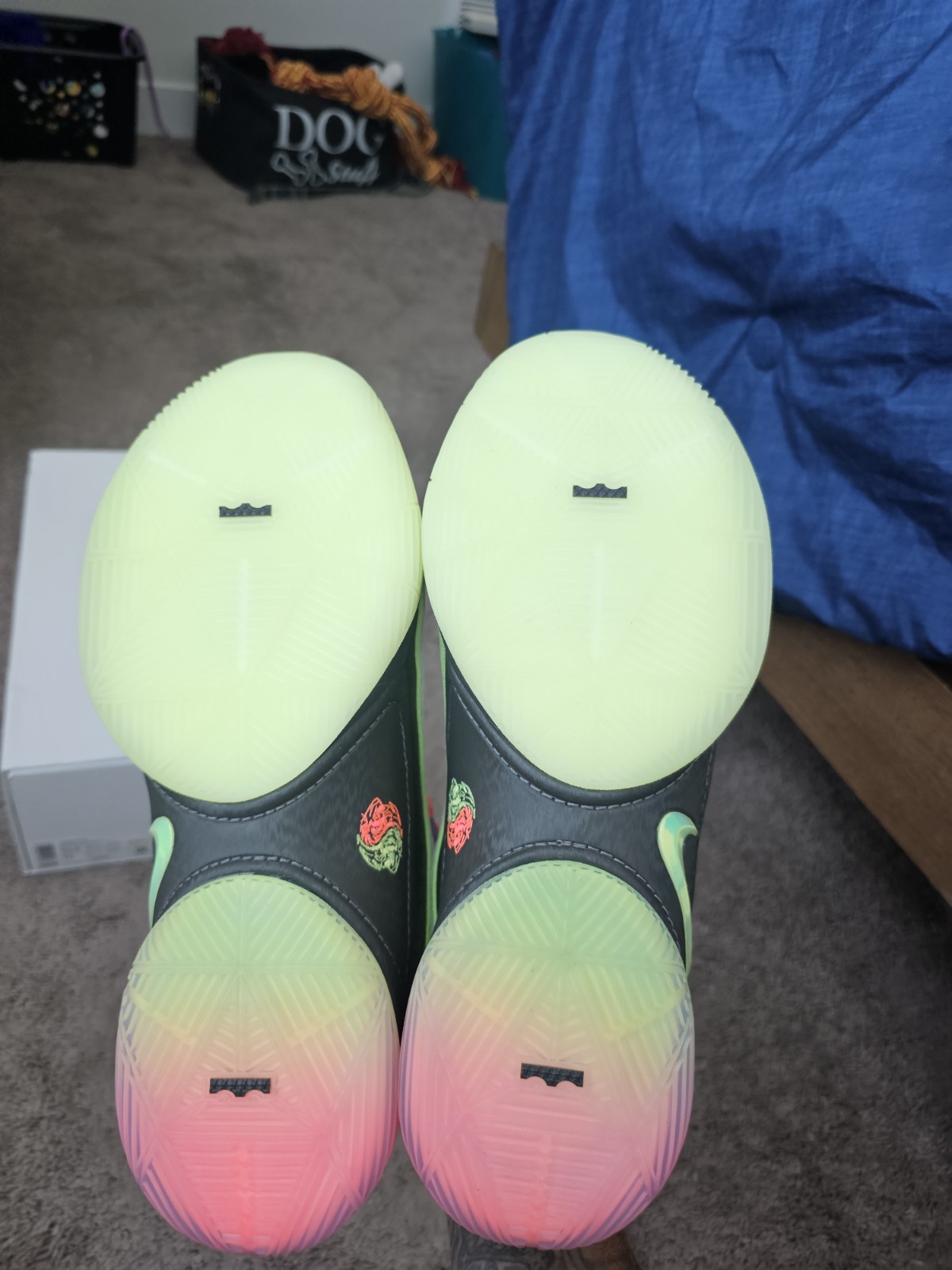 SAOLA Nike Lebron 22 Corona di Gioiello Ds Uomo Taglia 10 5