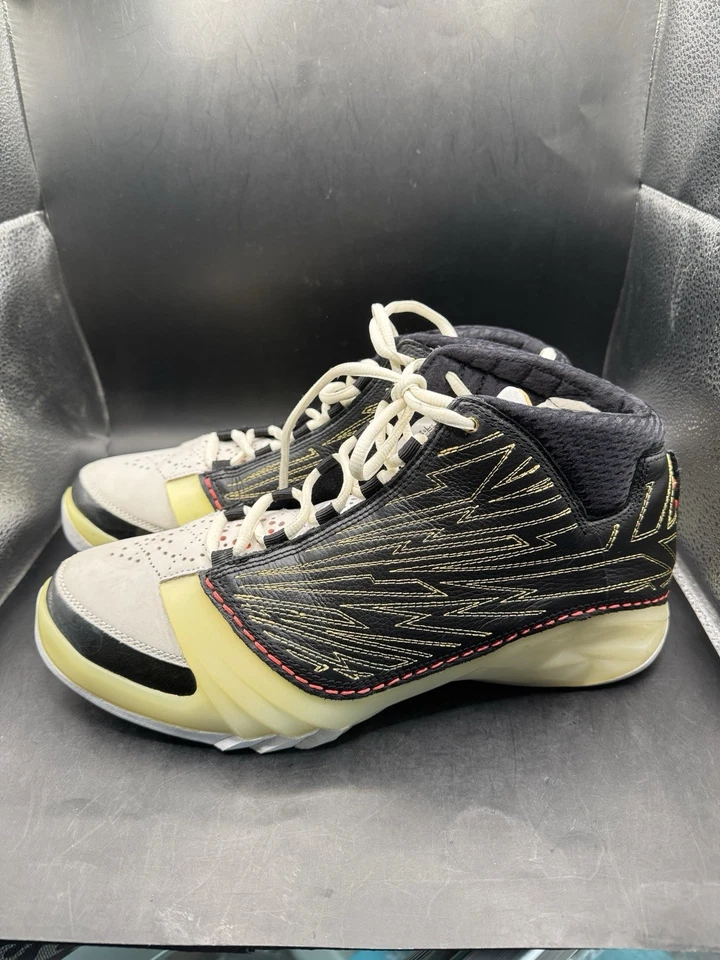 Talla 11 - Titan x Air Jordan 23 Retro SP 10º Aniversario Foto 3 de 4