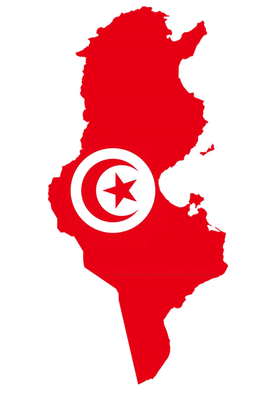 Auto Aufkleber Tunesien ''Tūnisiyya'' Tunisia Decal Vinyl Sticker konturgeschnitte