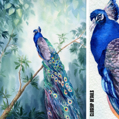 22W''x30H'' COCKATOOS PEACOCK ON BRANCH by STUDIO ANTO - CHOICES of CANVAS