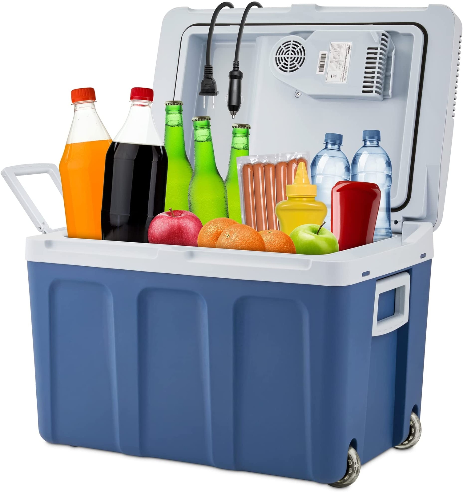 (45 L), Thermoelectric Cooler 12v Cooler & Car Fridge