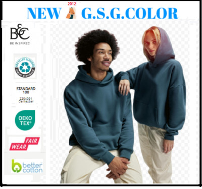 Herren Pullover Hoodie Influence Gr. XS bis 3XL in 6 Farben