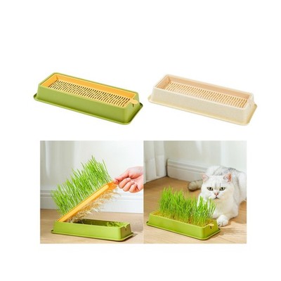 Tablett, Hydrokultur Katzengrasbox, Weizengraszüchter, Keimung, Katzengras