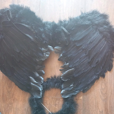Black Gothic Devil Fairy Angel Feather Wings Halo Bookweek Fancydress Costume 