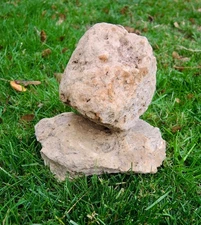 Lot of 2 Medium Pumice Stone Volcanic Rock