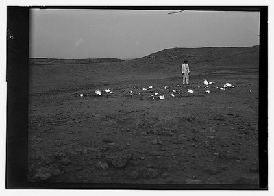 Oil (5 Company. of miles wells and Iraq Petroleum camp Iraq. Kirkuk). S. the of