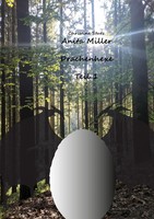 Anita Miller Drachenhexe | Christine Stutz | Taschenbuch | 240 S. | Deutsch