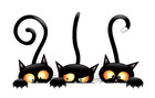 Iron on transfer Funny Cat - 3 Black Cat Patch Iron On Transfers For Clothing