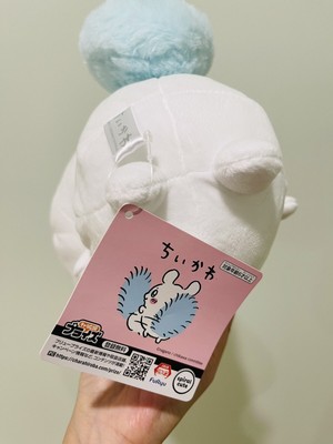かめがい Japan 13
