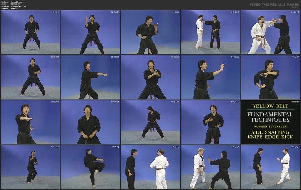 Home Study Course - American Kenpo Karate (DVDs + Certificates) - Image 3 of 4