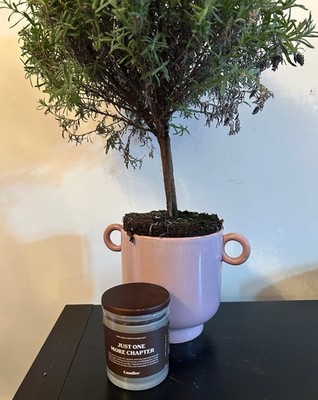  JUST ONE MORE CHAPTER  Candier 9oz soy candle