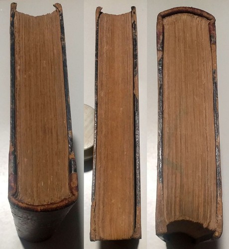 RIVALTA Anselm "Tito Vezio oder Rom hundert Jahre vor der christlichen Ära" 1867 - Bild 3 von 24