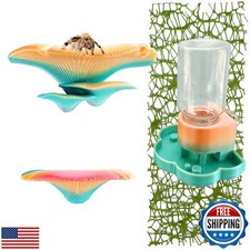 5Pcs Jumping Spider Accessories Set, Jumping Spider Enclosure Mushroom And Wa
