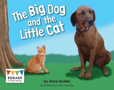 Anne Giulieri The Big Dog and the Little Cat (Taschenbuch) Engage Literacy Red