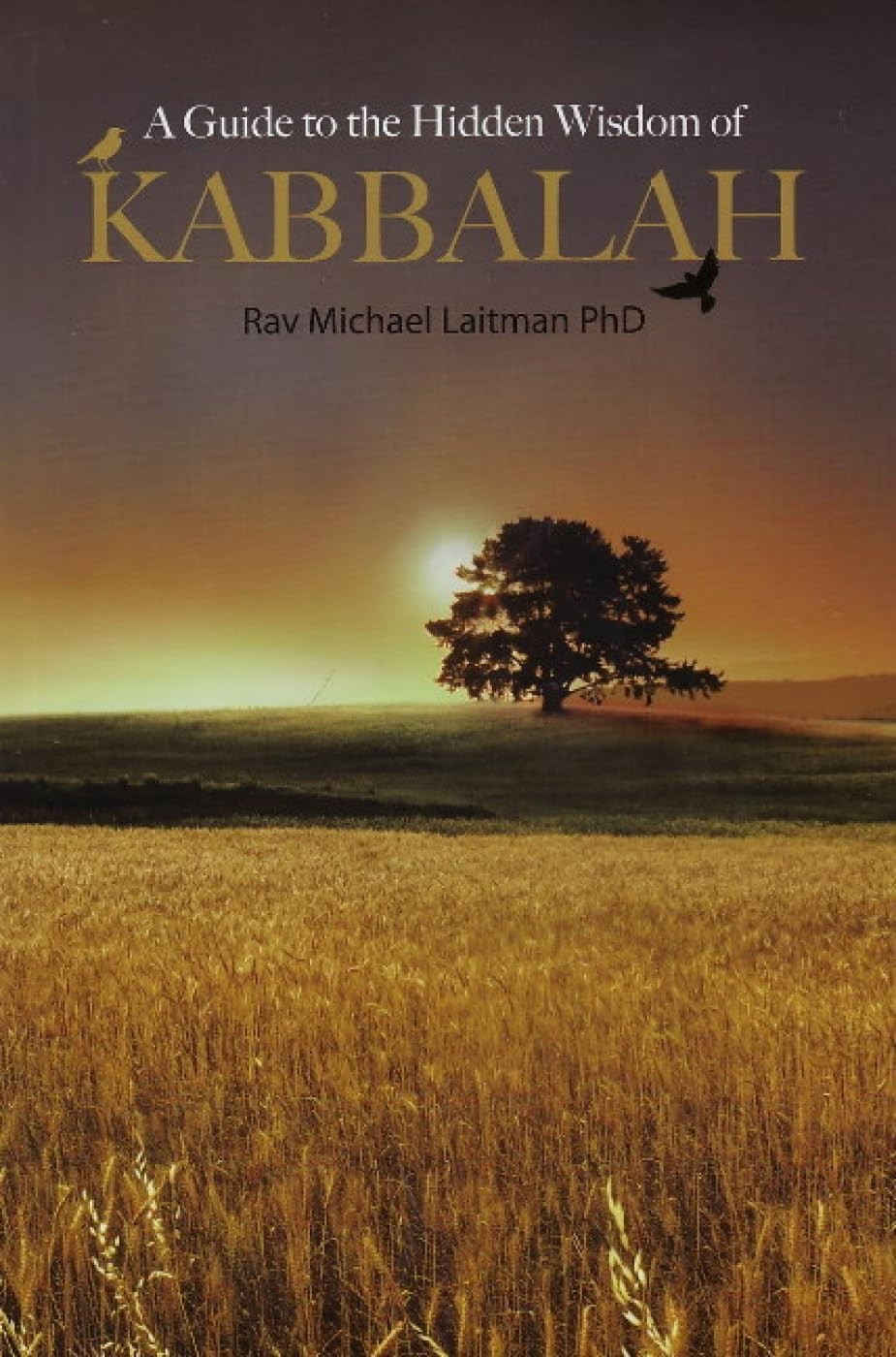 Guide to the Hidden Wisdom of Kabbalah-Rav Michael Laitman, PhD