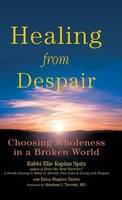 Rabbi Elie Kaplan Spitz | Healing From Despair | Buch | Englisch (2008)