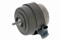 Lagerung Motor Links Rechts Vaico V10 6769 FÜR Audi Motorlager Motorhalter
